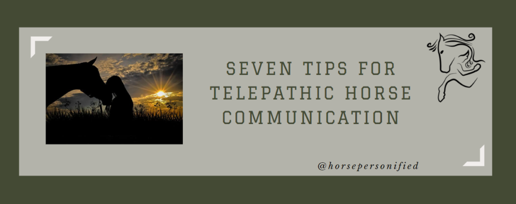 telepathic-horse-communication